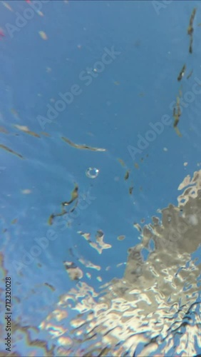 Vertical video, Underwater view of seagulls flying and land on the water, swim and feed from surface of water in the coastal zone, on blue sky background, Bottom view, Close up
 photo