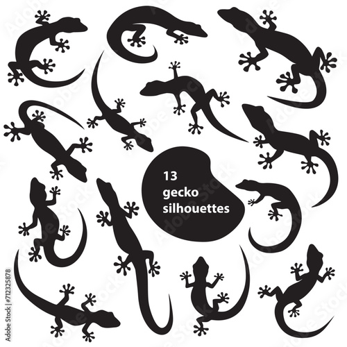 Editable vector 13 gecko silhouettes. Set collection isolated black on white background