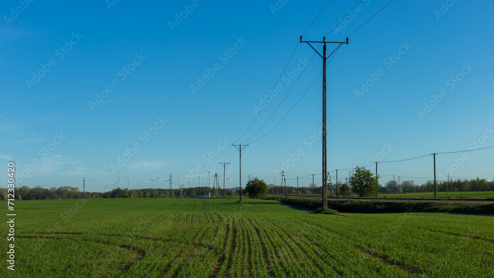power lines in the field power lines in the field