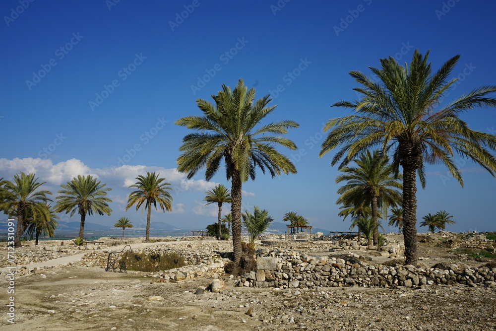 Megiddo National Park