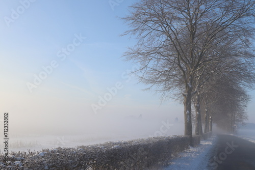A few trees during sunrise, with the misty sky turning yellow with ground still white from the mist and snowfall.