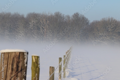 A row of posts disappear in the mist leading to the forest on a snowy winter day.