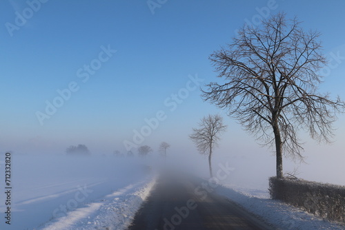 A road with trees on one side, where the mist and snow makes it a dreamy landscape during sunrise.
