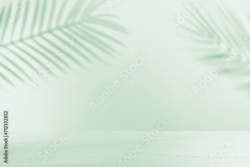 Green Pastel Wall with Palm Leaf Shadows