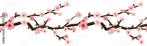 Sakura flower seamless border pattern. Japanese cherry blossom exotic texture. Spring flowers graphic for background, textile, fabric