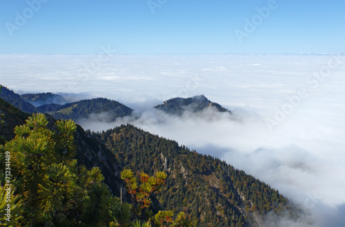 Sea of clouds and peaks of the Bavarian Alps, view from the Herzogstand mountain, Germany, Europe photo