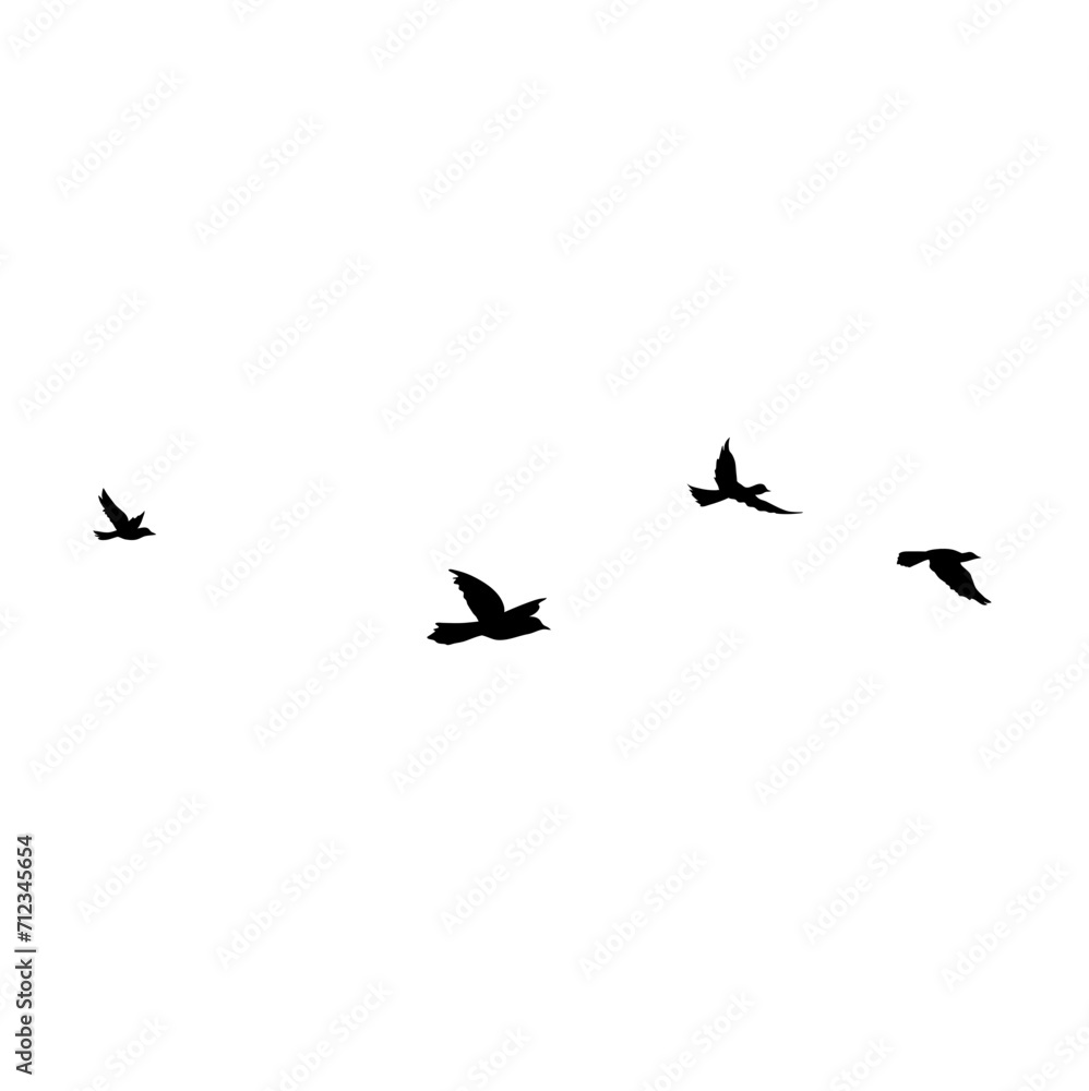 Flying Bird Silhouette Flying Bird Silhouette