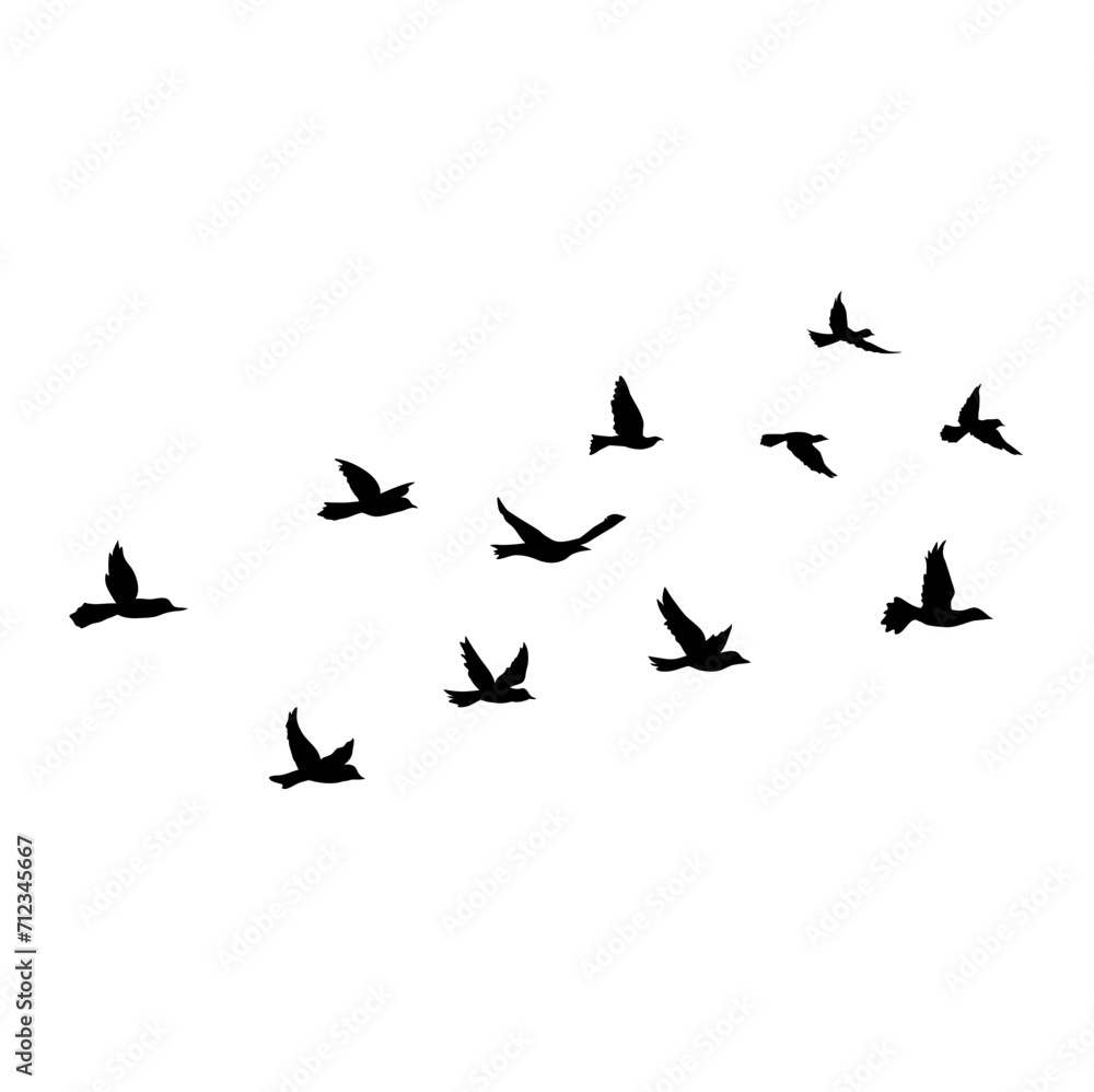 Flying Bird Silhouette