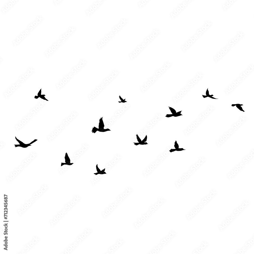 Flying Bird Silhouette Flying Bird Silhouette