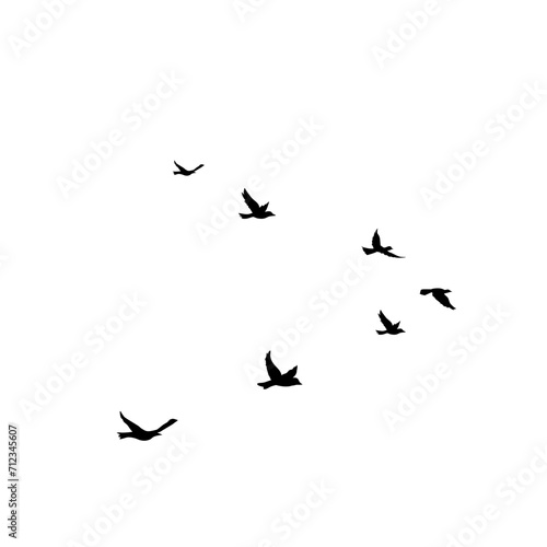 Flying Bird Silhouette