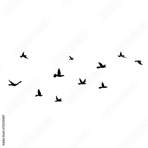 Flying Bird Silhouette