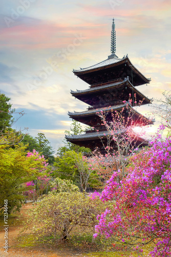 Ninna-ji Temple in Kyoto  Japan during beautiful full bloom cherry blossom season