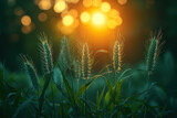 Golden Summer: Sunlit Meadow of Vibrant Yellow Wheat, Serene Nature and Lush Green Grass