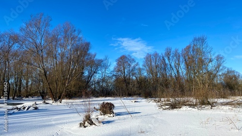 Winter landscape in Europe. Floodwaters of the Narew River in Poland