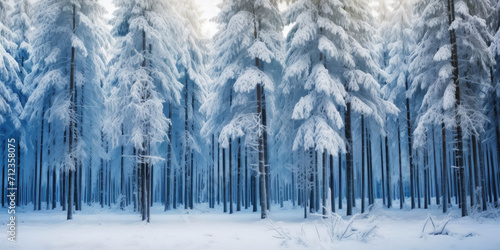 Wide background landscape with rows of pine trees covered in snow. Generative AI © AngrySun