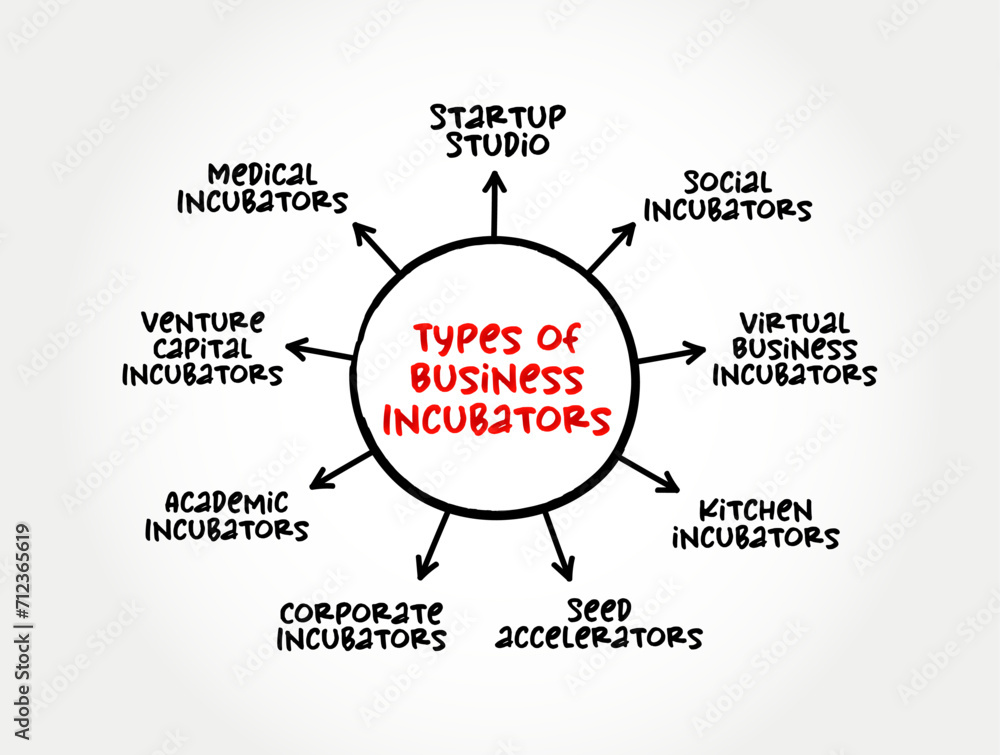 Types of Business Incubators - organization that helps startup companies and individual entrepreneurs to develop their businesses, mind map text concept background