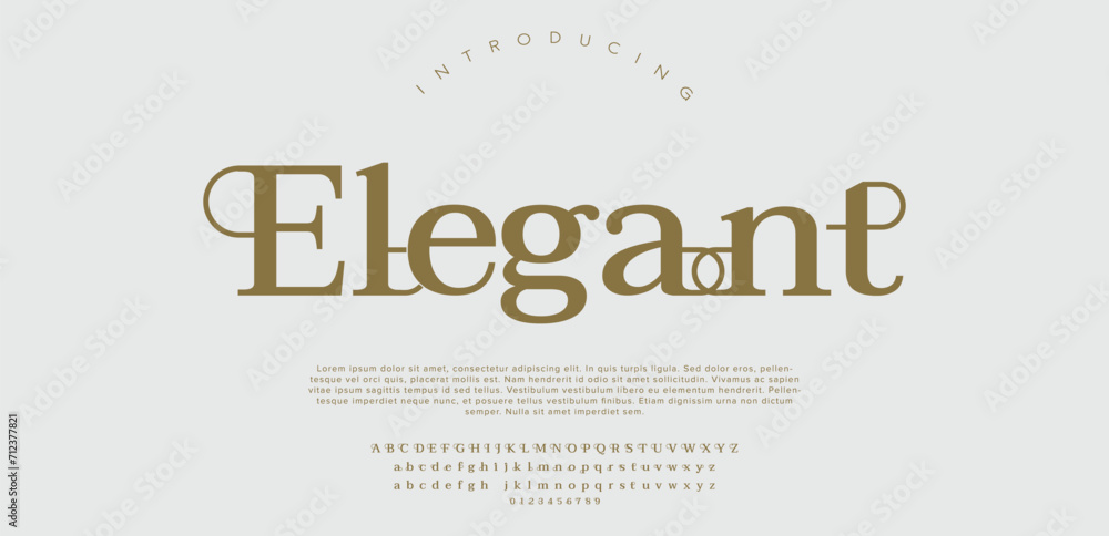 Elegant, Abstract fashion font alphabet minimal modern urban fonts logo design etc typography typeface
