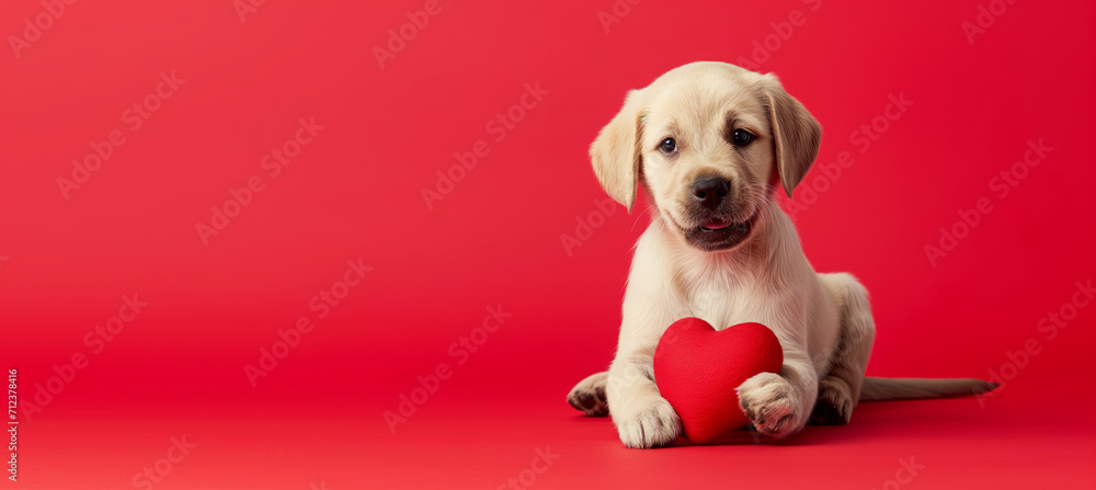 Cute dog with a red heart, isolated on red background: Ideal Template for Valentine's Day, Love, or Wedding Greeting Cards