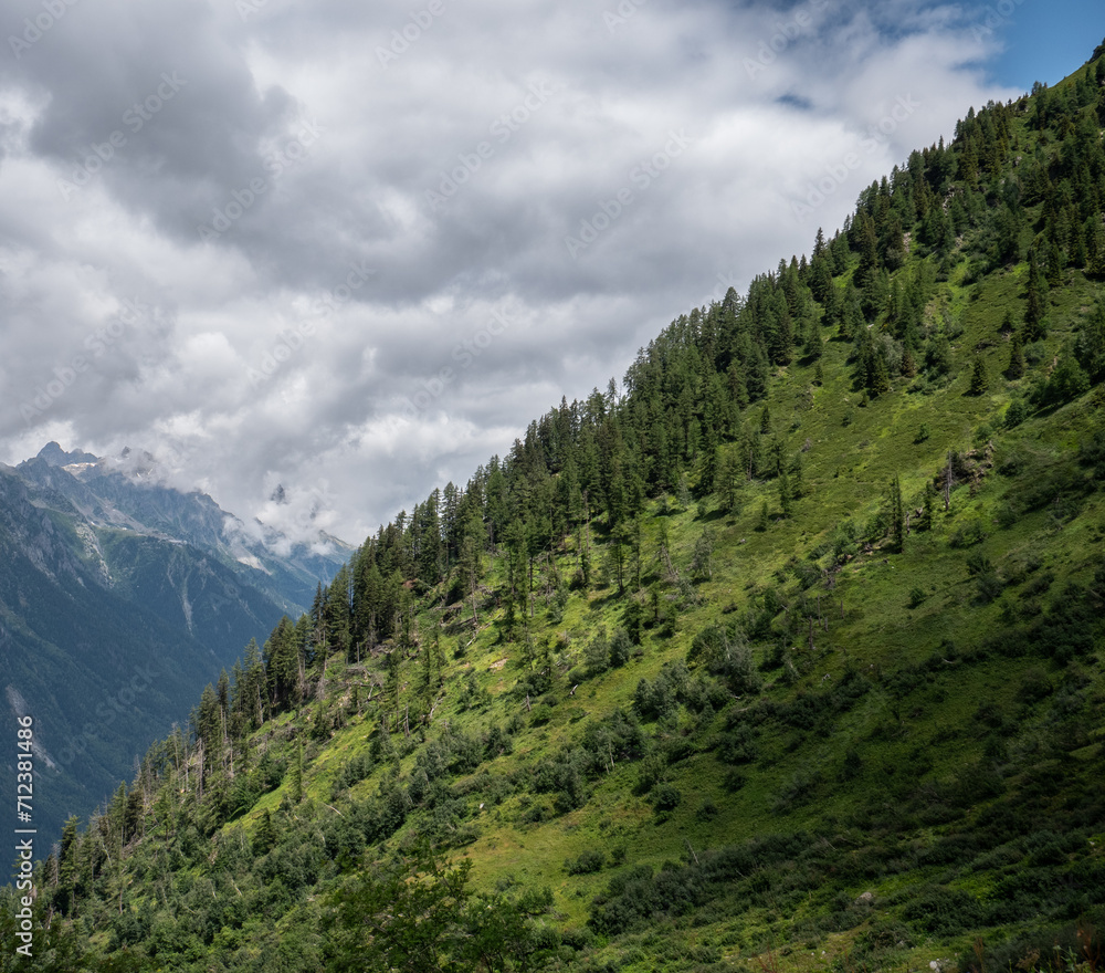Fototapeta premium A la découverte des Alpes : le Mont Blanc