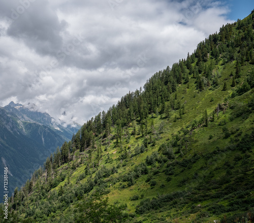 A la découverte des Alpes : le Mont Blanc