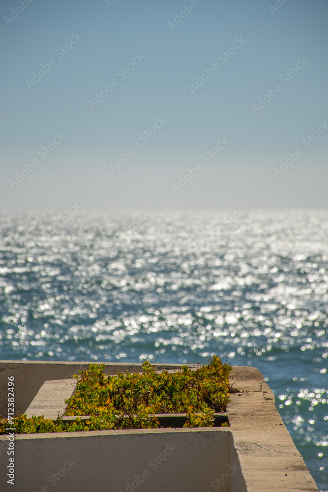 flowerbed of green leaves in building facing the pacific ocean sea on a sunny day