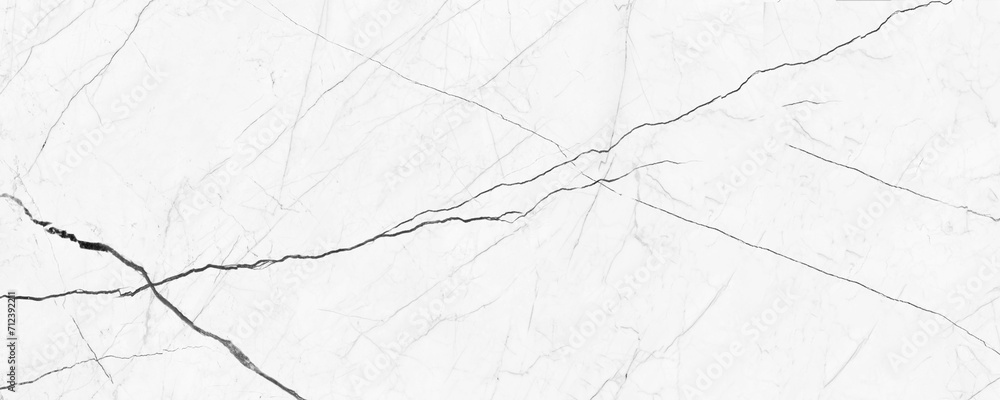 Obraz premium high resolution white Carrara marble stone texture