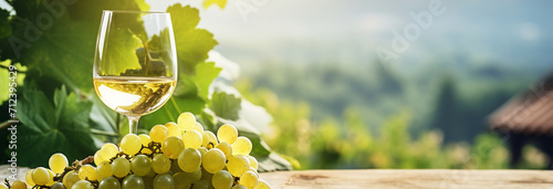 wine and grapes. white wine in a glass on a vineyard background. photo
