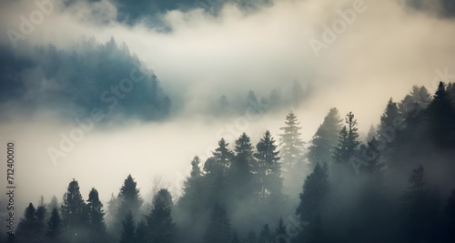 landscape with fir forest in vintage  © big bro