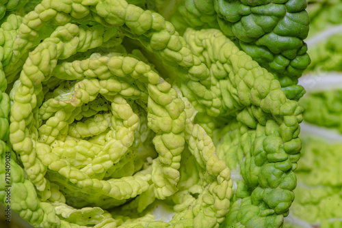 Close ups of Cabbage Heart, Vegetables