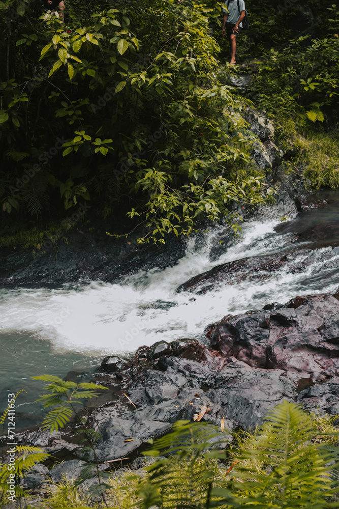Fototapeta premium A bubbling clear river in the rainforest