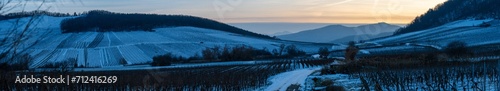 Crépuscule hivernal sur le vignoble alsacien, CeA, Grand Est, France