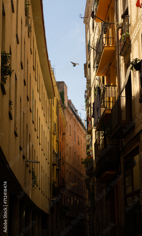 Romantic narrow residential bystreet in Barcelona, Spain, Gothic Quarter.A dove is flying between the ancient buildings. Retro and peace concept