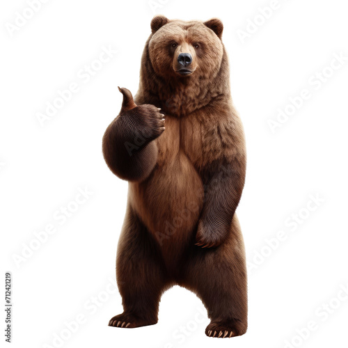 Funny grizzly bear standing and giving a thumbs up isolated on transparent background.