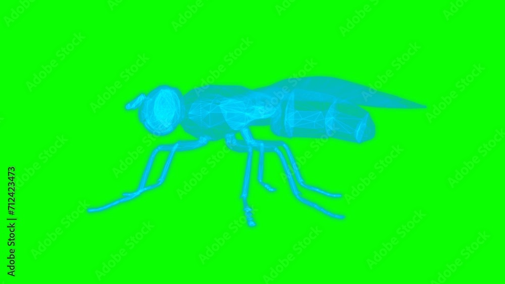 4k green screen fly technology video. fly technology video, fly 360 turn, fly wireframe video 4k green screen fly technology video. fly technology video, fly 360 turn, fly wireframe video