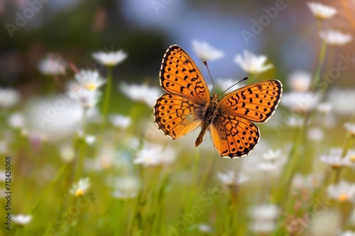 Beautiful colored wild butterfly in green nature background