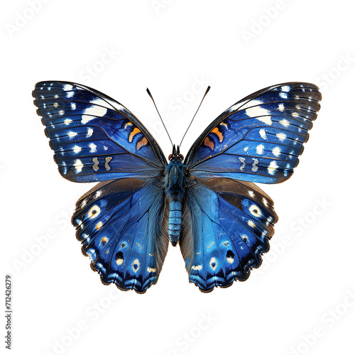 Palos Verdes Blue Butterfly Isolated on transparent background.