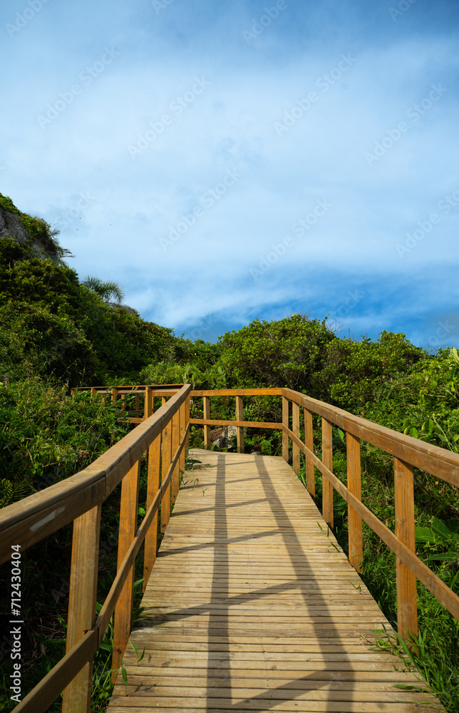 A wooden path leading to the beach, travel, summer, and beach concept