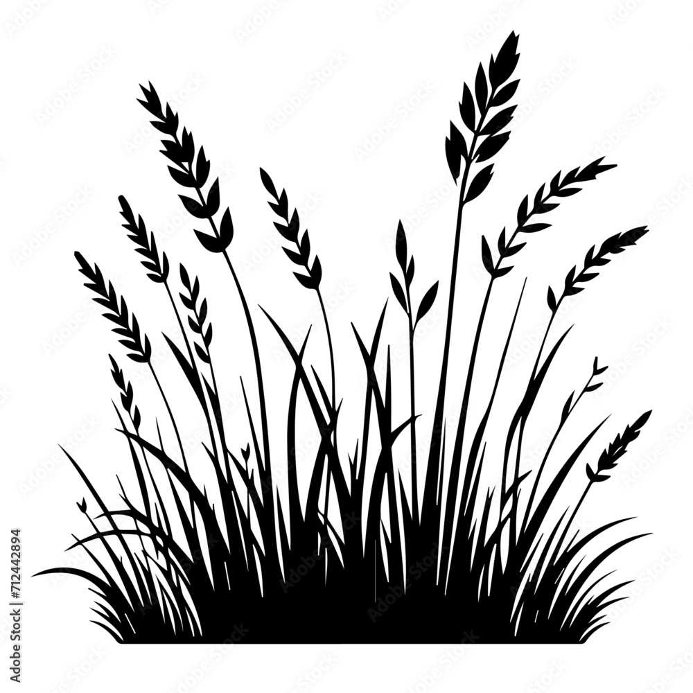 grass silhouette isolated on white grass silhouette isolated on white