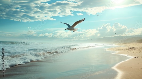 bird flying over a beach next to the ocean