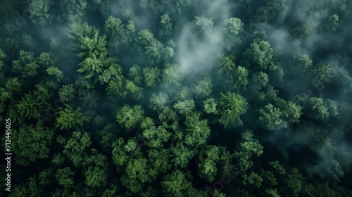 aerial view of a forest, generative ai