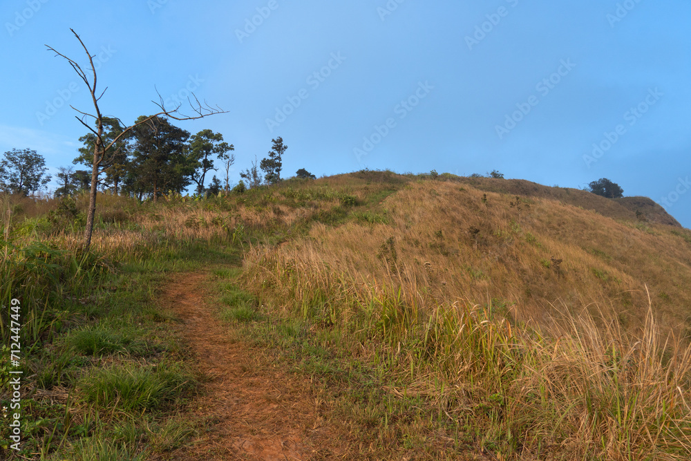 Walking path with green grass covering both sides. Path up to mountain view point of Phu Langka. Under clear of blue sky. At Phu Langka Phayao Province of Thailand. Walking path with green grass covering both sides. Path up to mountain view point of Phu Langka. Under clear of blue sky. At Phu Langka Phayao Province of Thailand.