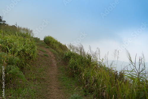 Landscape view walking path with green grass covering both sides.route heads to the mountaintop view point of Phu Langka. Under clear of blue sky. At Phu Langka Phayao Province of Thailand. 