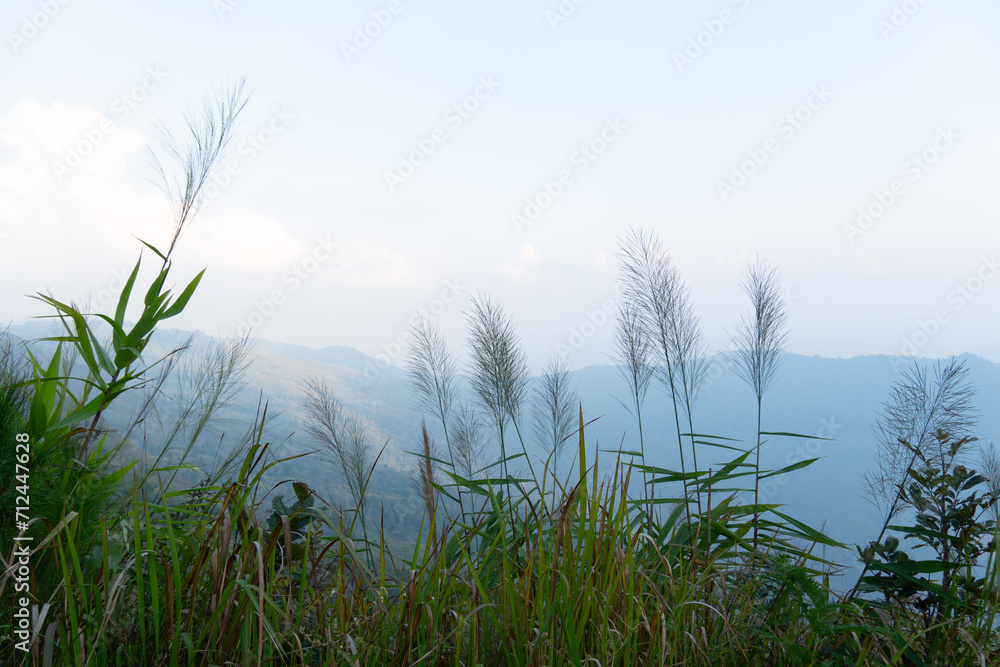 Obraz premium The foreground is covered with grass. Landscape view of mountain ranges lined up background. Under fog covers the sky. At Phu Langka Phayao Province of Thailand. 