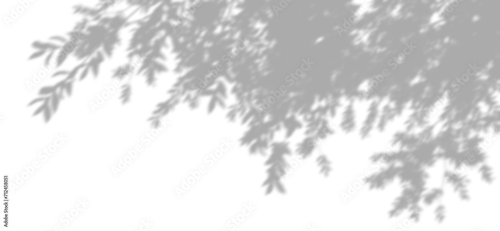 Realistic shadow foliage sunshade isolated on transparent backgrounds 3d rendering png