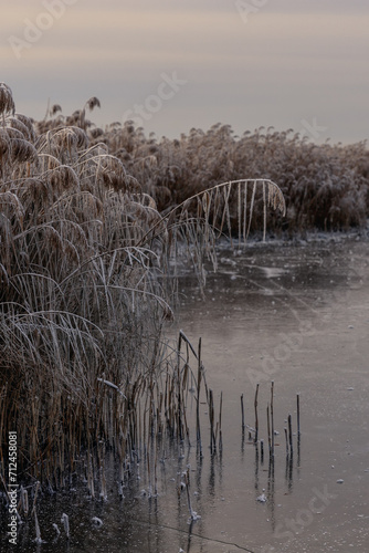 frozen lake winter landscape
