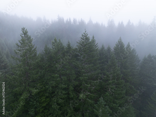 Mist drifts through a Pacific Northwest forest west of Portland  Oregon. This scenic region of the U.S. is home to extensive forests  mountains  and rivers.