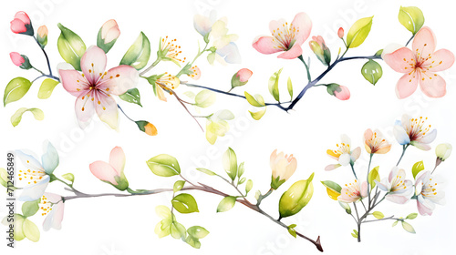 Spring Cherry Blossom Watercolor Panorama © HappyKris
