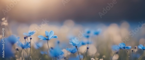 Blue beautiful flower on a beautiful toned blurred background  border. Delicate floral background