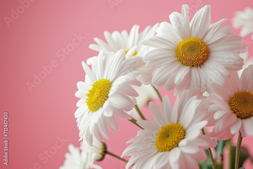 Photo beautiful daisies with pink background