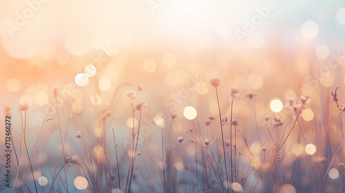 Nano-structure texture copyspace with ethereal bokeh lights on a summer sunset , with soft colors and a sense of nostalgia and longing.